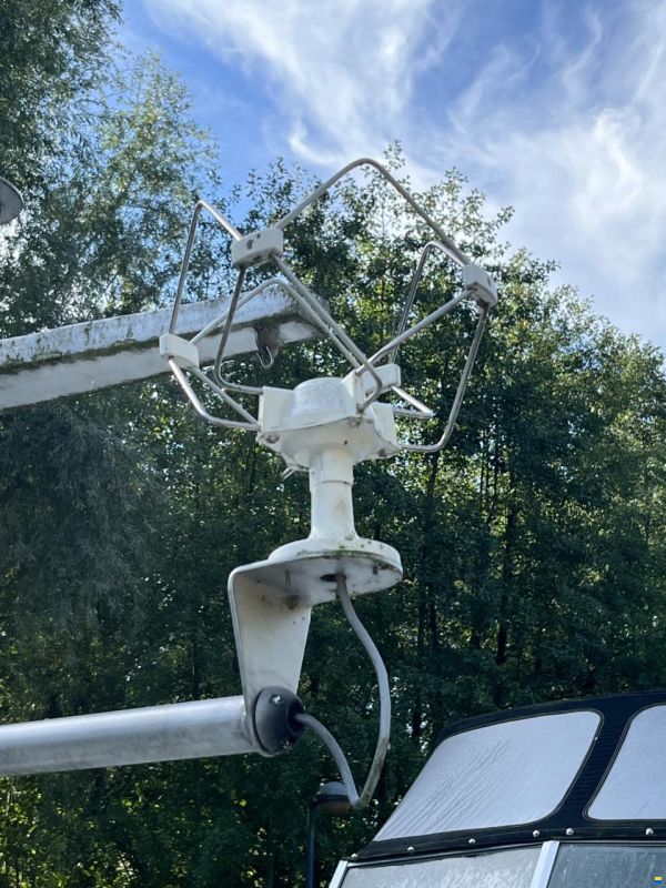 Cascaruda ALLEN NL