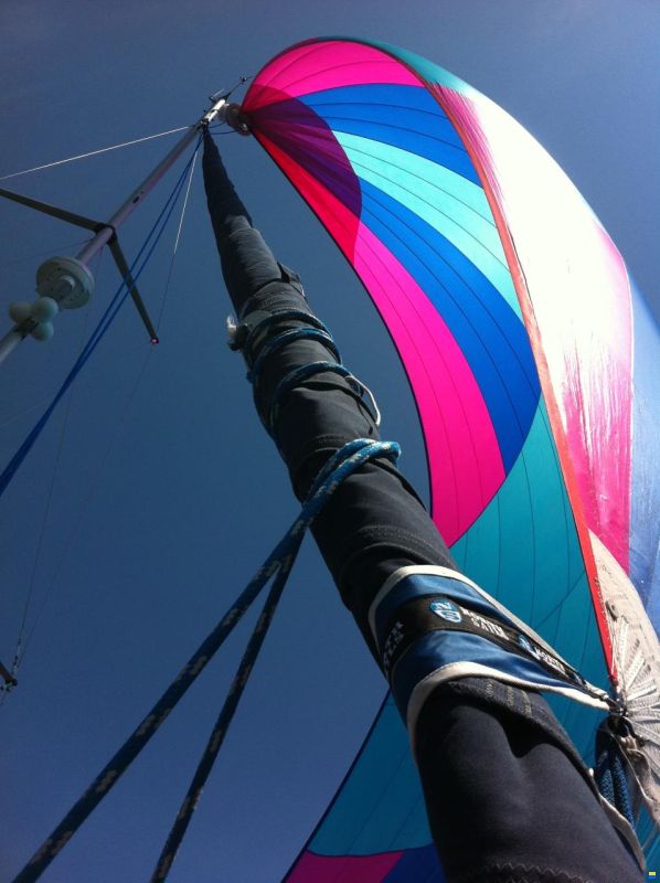 Hunter 410