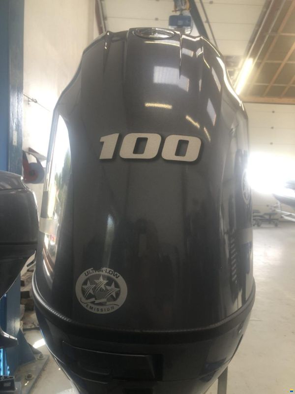 Yamaha F100FETL