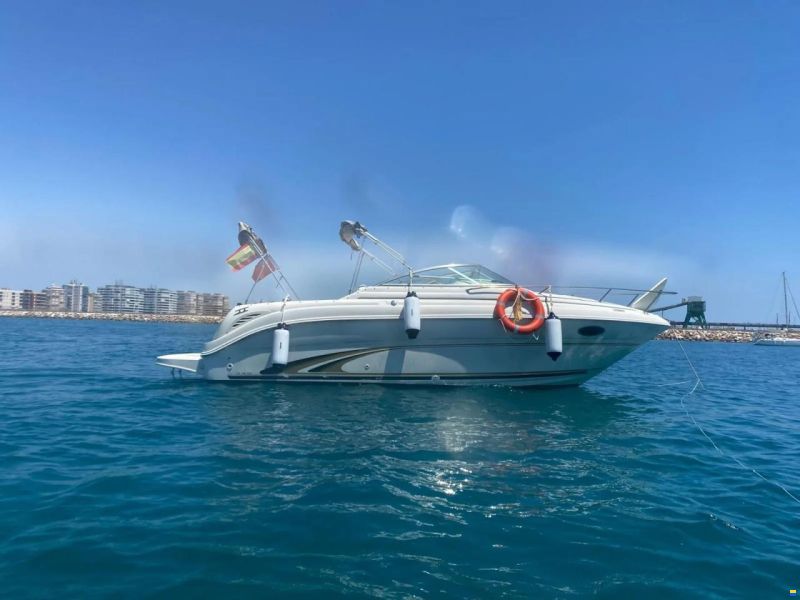 Sea Ray 245 Weekender