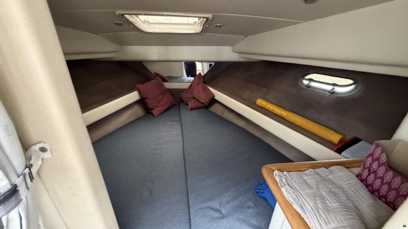 Bayliner 3688 Fly