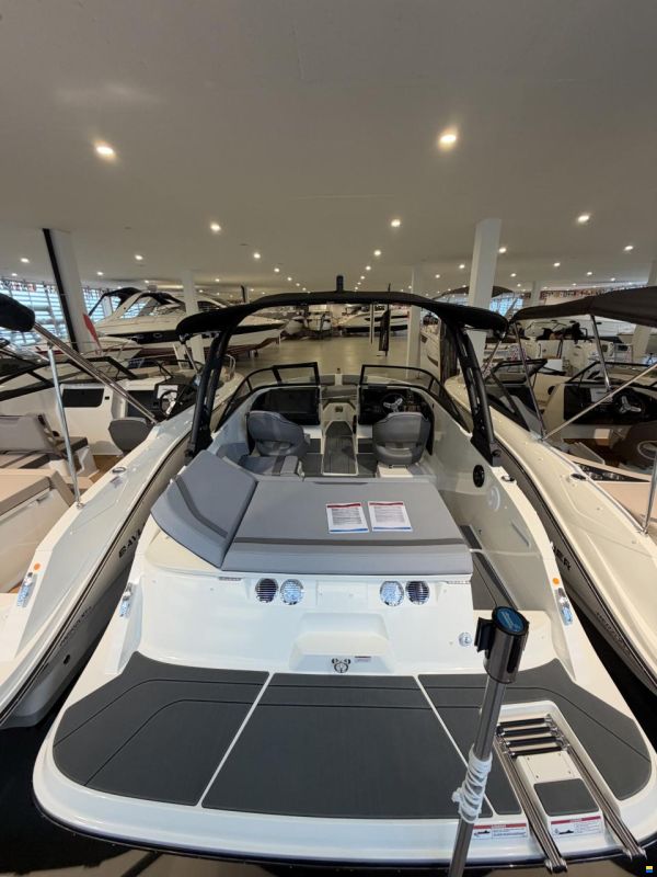 Bayliner V20i Wakeboard