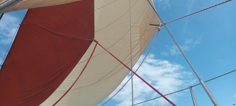 Koopmans One-Off
