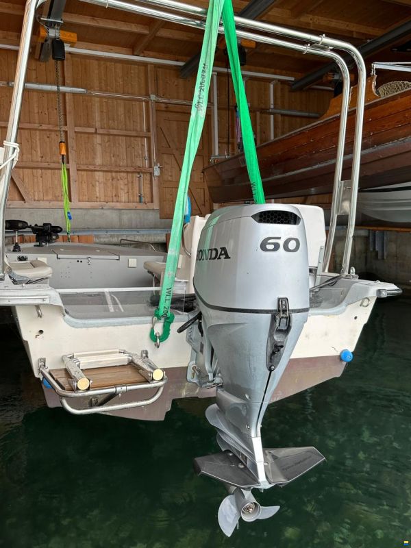 Lehmann Swiss Cat 18 Lehmann