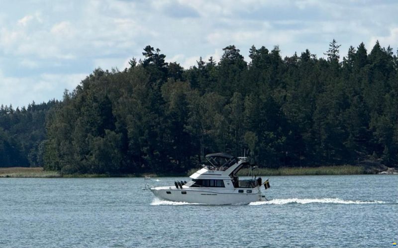 Carver 32