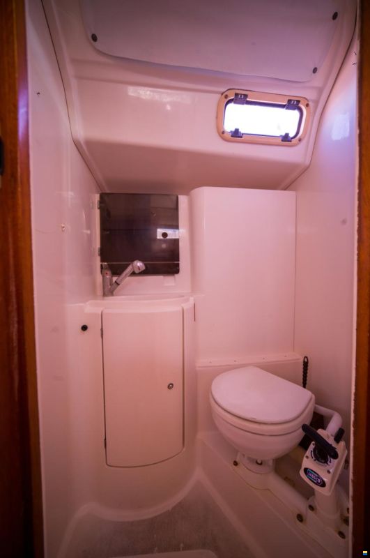 Delphia 40
