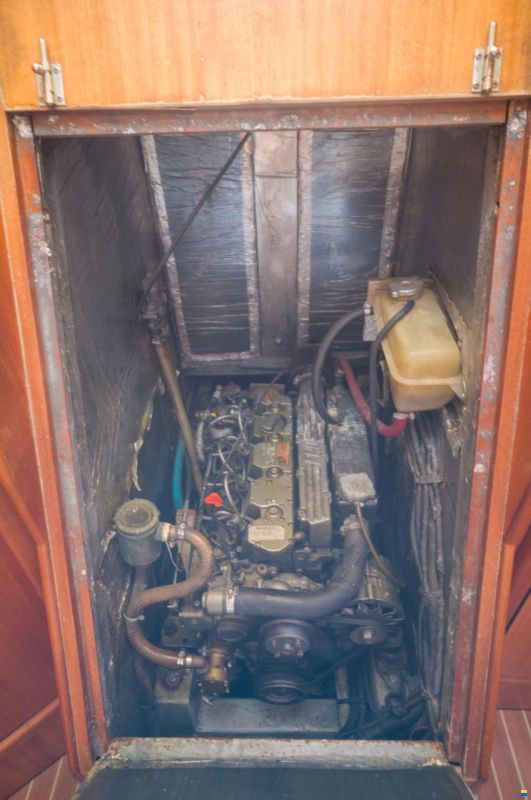 Delphia 40