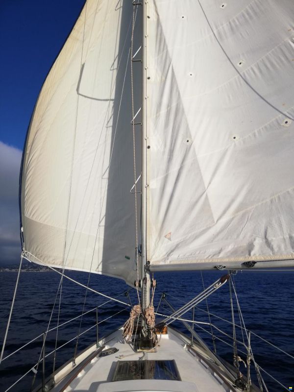 Tyler Twister 28