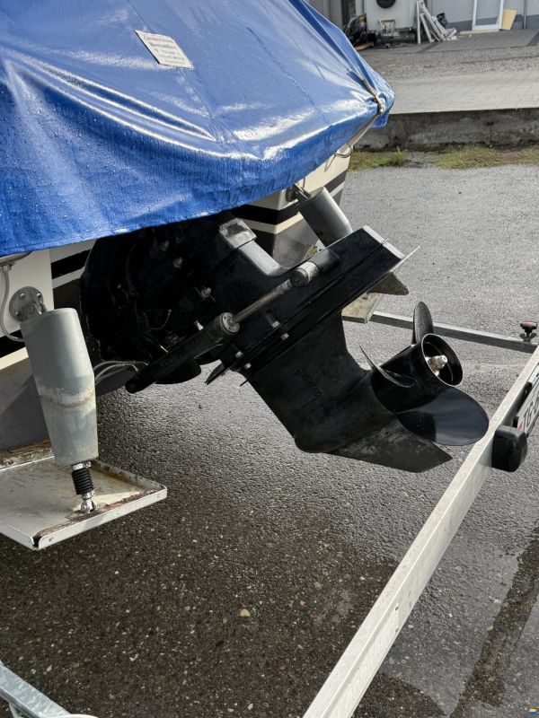 Rio 650