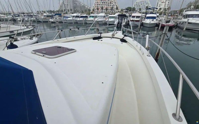 Rodman 1120