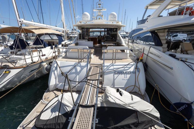 Princess V65
