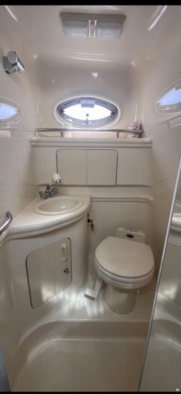 Sea Ray SUNDANCER 315