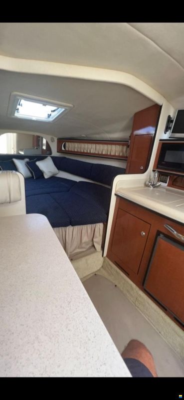 Sea Ray SUNDANCER 315