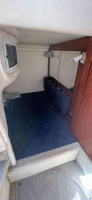 Sea Ray SUNDANCER 315