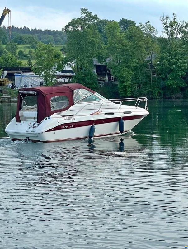 Sea Ray 230 DA LTD