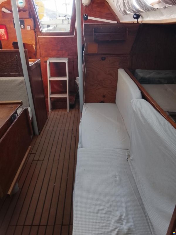 Levrier de Mer 34