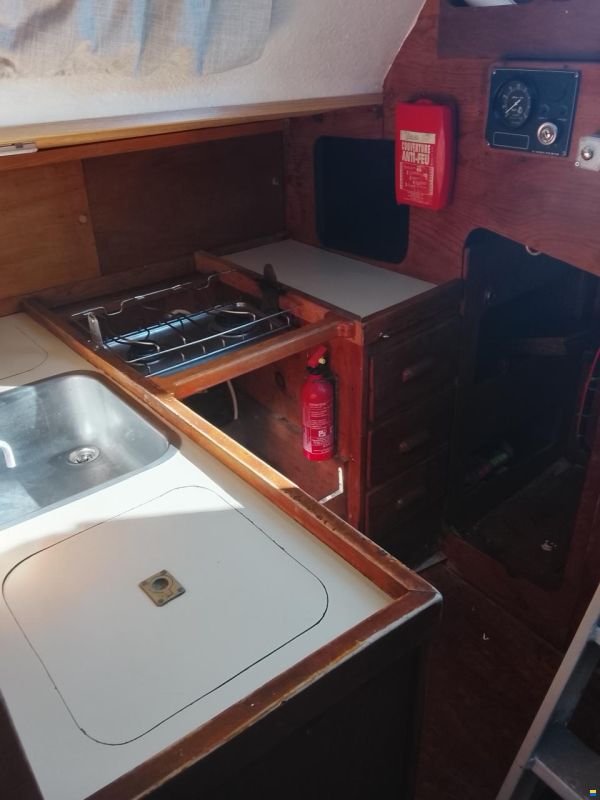 Levrier de Mer 34