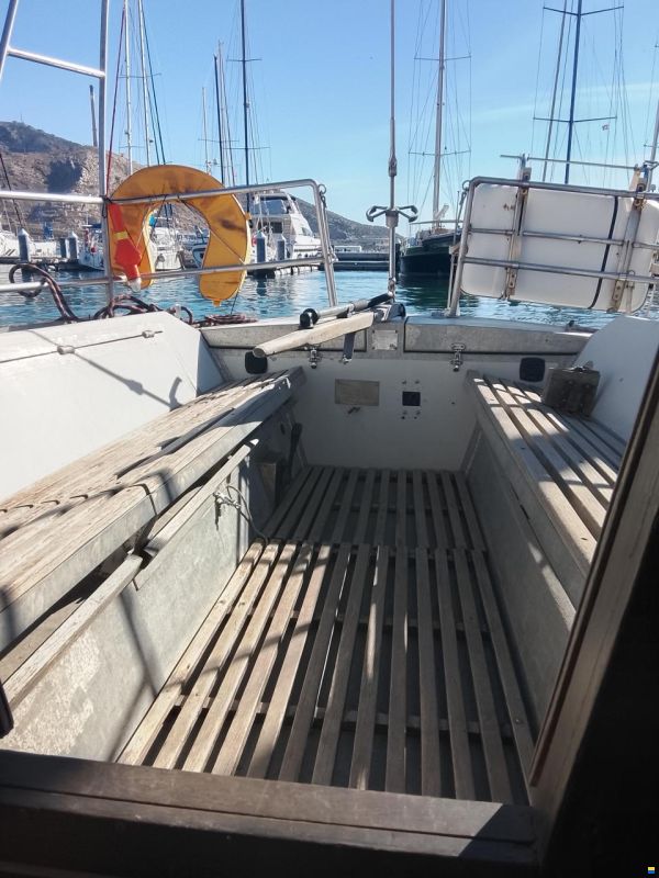 Levrier de Mer 34