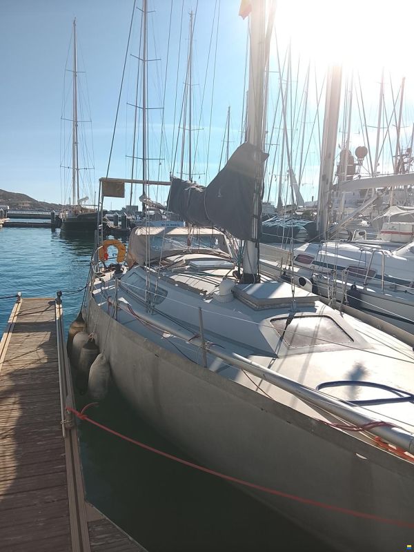 Levrier de Mer 34