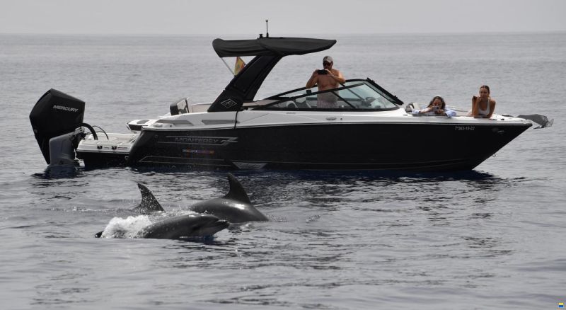 Monterey 255SS
