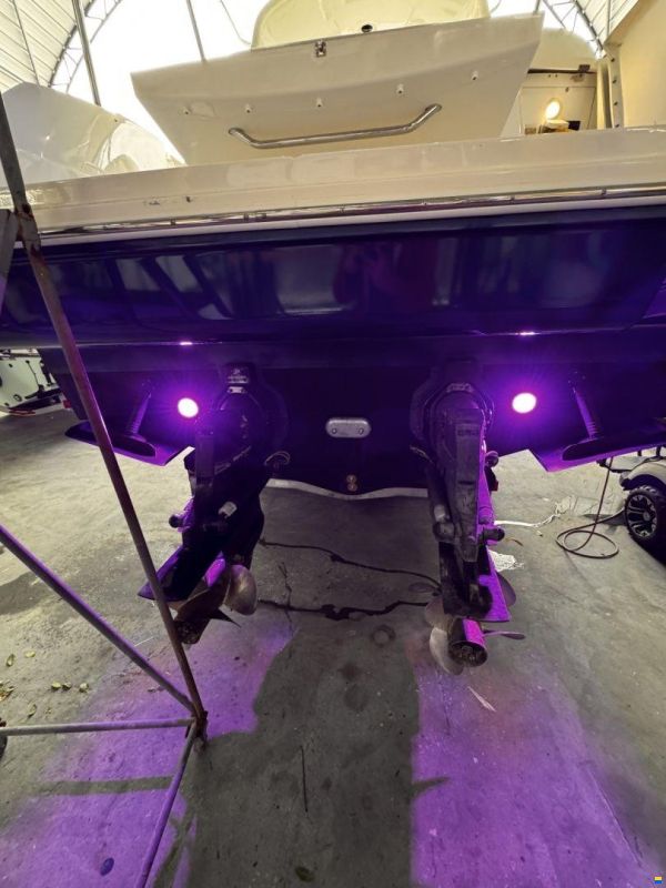 Sea Ray 310