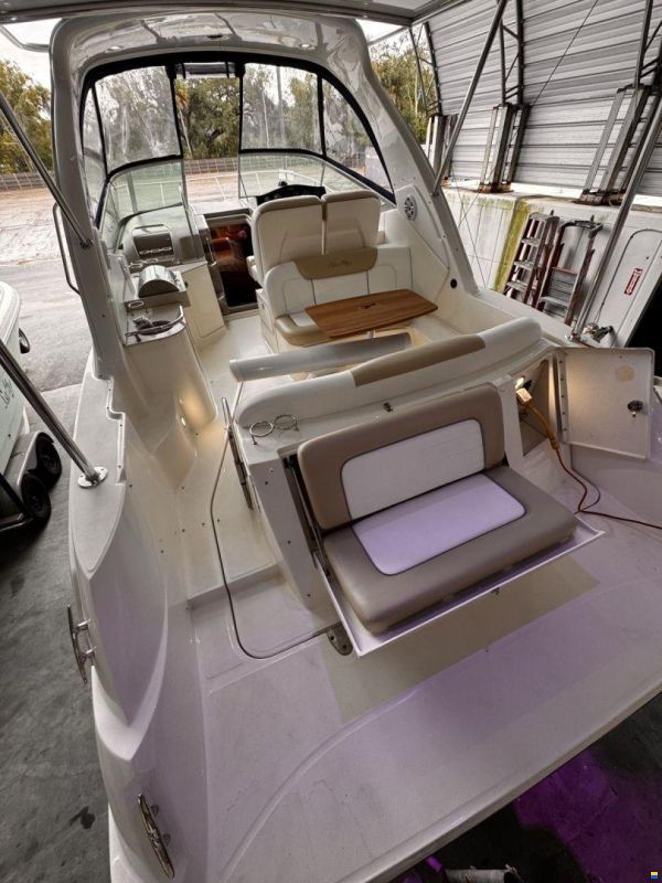 Sea Ray 310