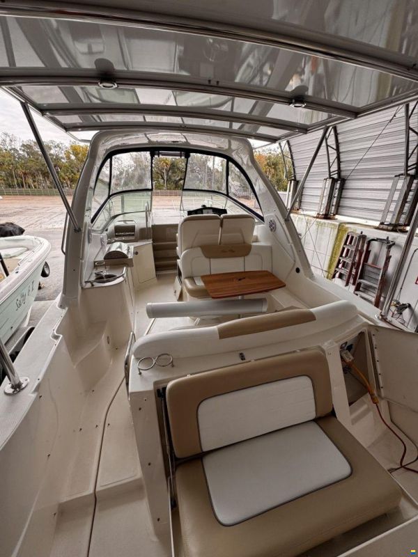 Sea Ray 310