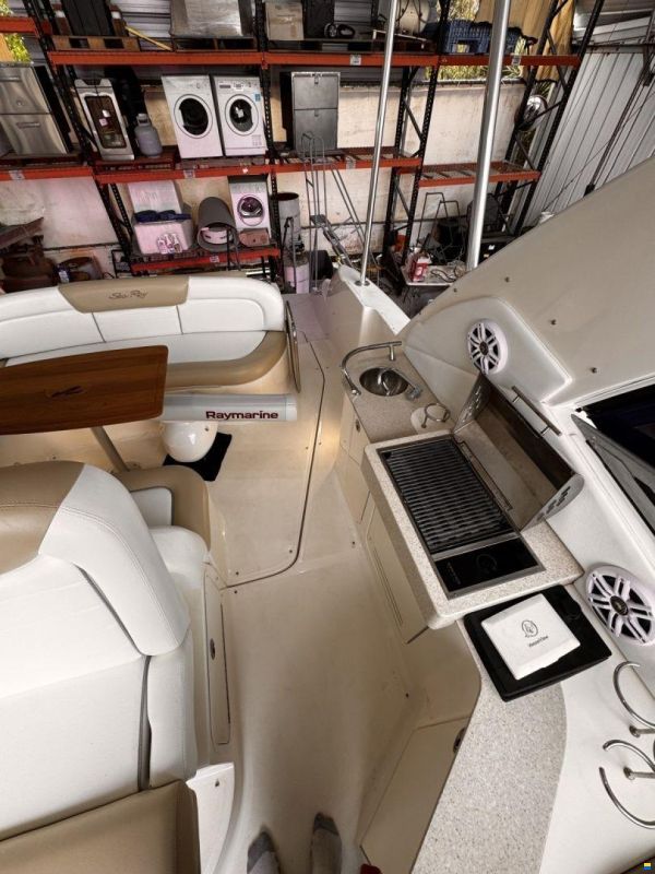 Sea Ray 310