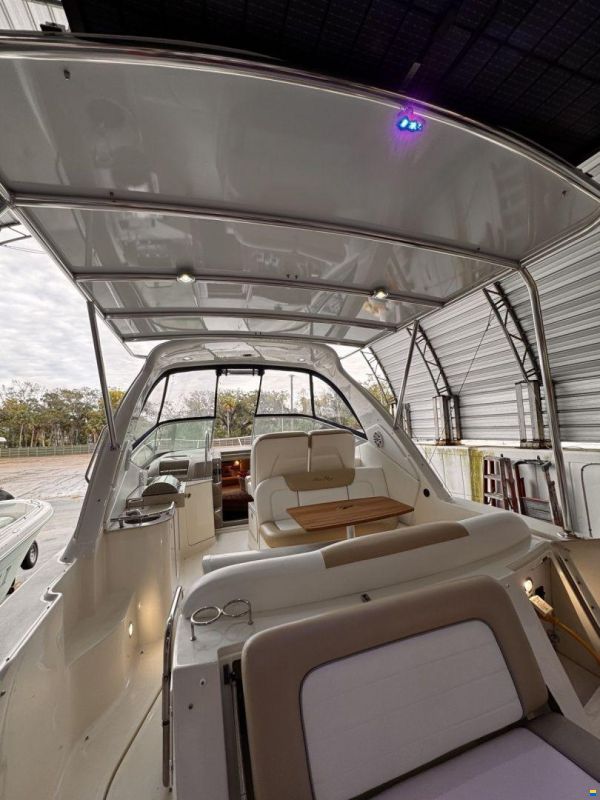 Sea Ray 310