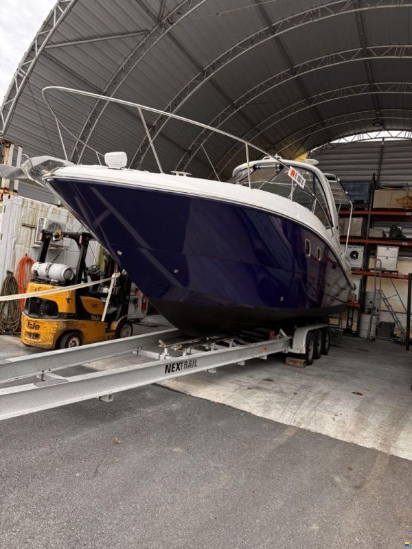 Sea Ray 310