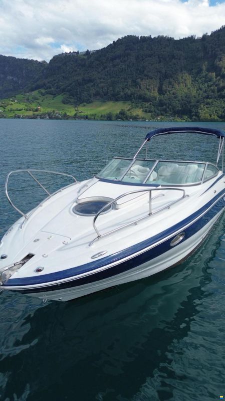 Crownline 255