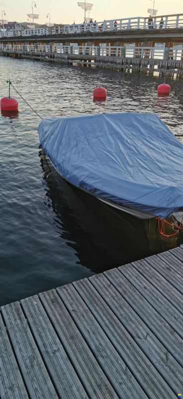 Bayliner Capri 175