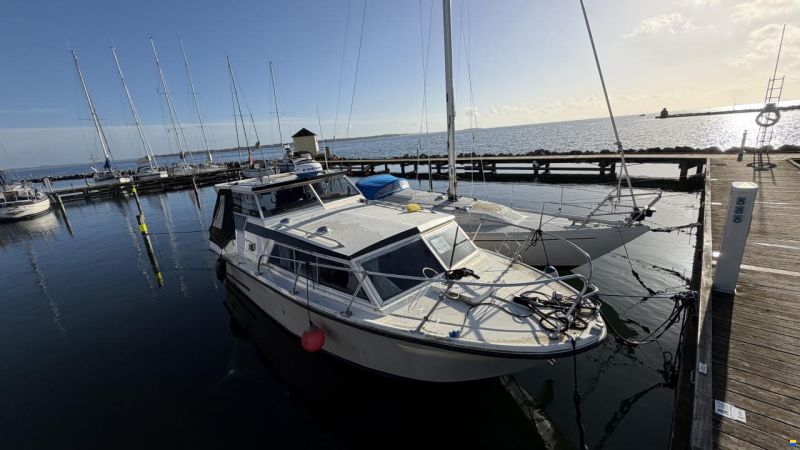Birckwood 25 HT