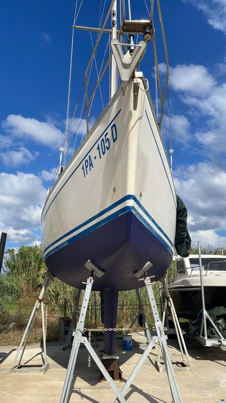 Bavaria 38 Exclusive