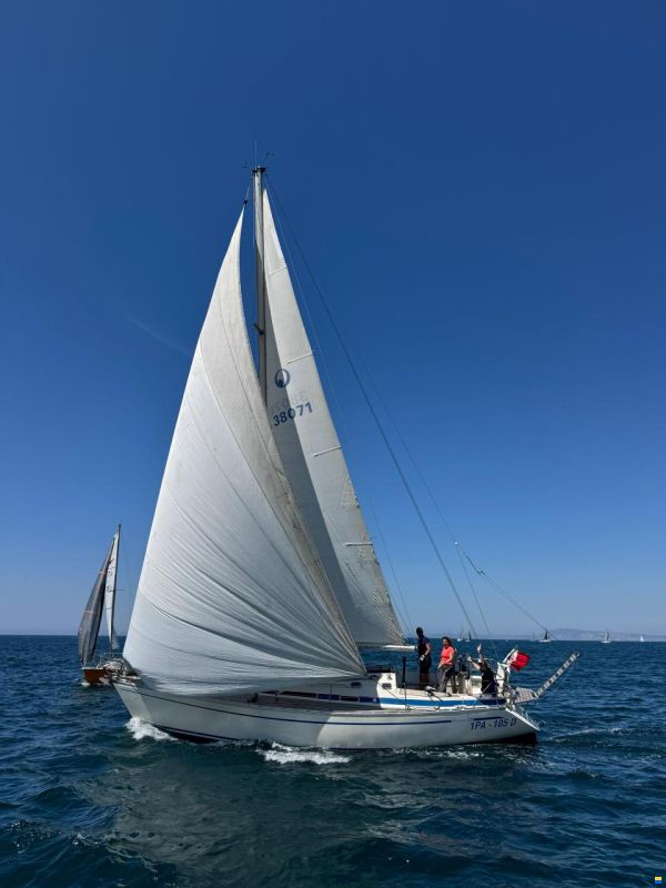 Bavaria 38 Exclusive