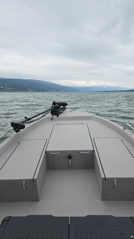 Swiss Cat 21