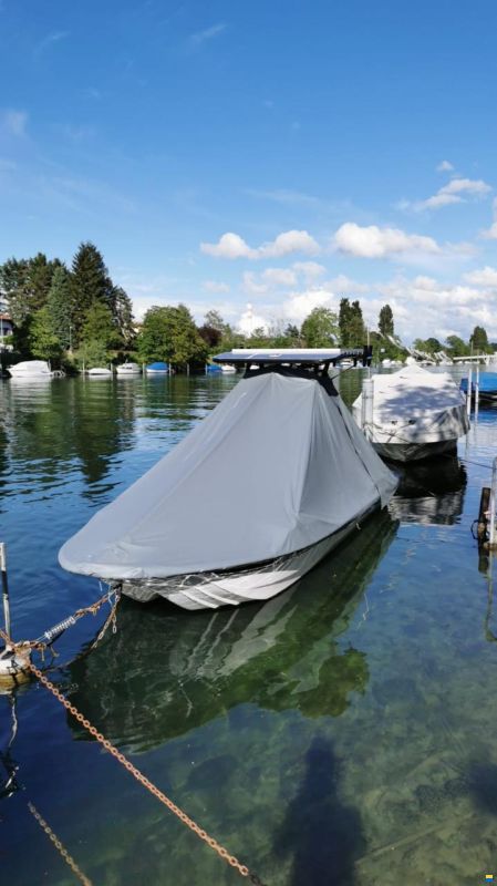 Swiss Cat 21