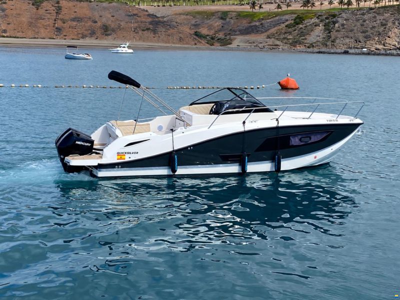 Quicksilver QS875