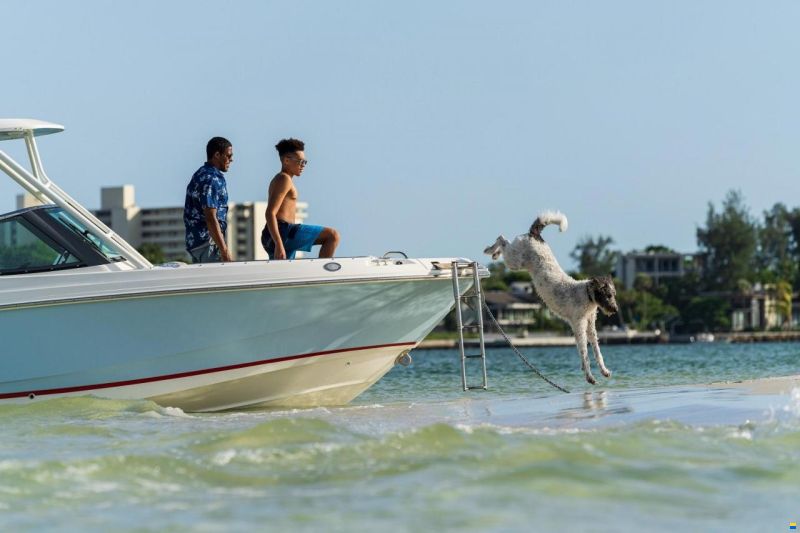 Boston Whaler 240 Vantage