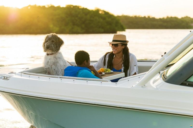 Boston Whaler 240 Vantage