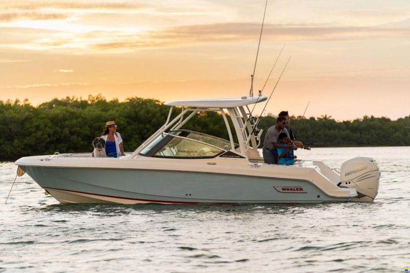 Boston Whaler 240 Vantage