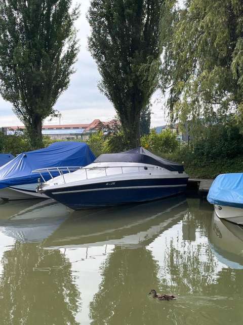 Boot kaufen: Über 5'900 Angebote im grössten Schweizer Bootsmarkt