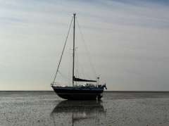 Hallig 35 (orig.34)