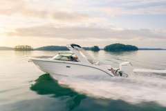 Sea Ray SDX 270 OB US Imbarcazione da diporto