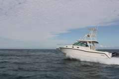 Boston Whaler 345 Conquest Sportboot
