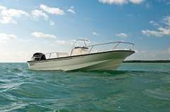 Boston Whaler 190 Montauk Bateau de sport