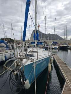 Reinke Taranga 10 EX