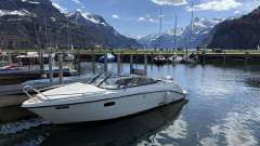 AMT 230 DC Sportboot