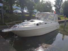 Wellcraft 2600 Martinique