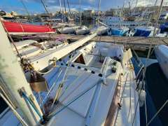 Archambault Surprise